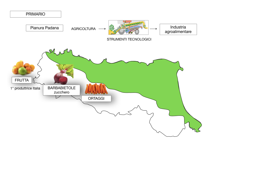 EMILIA ROMAGNA_SIMULAZIONE.061