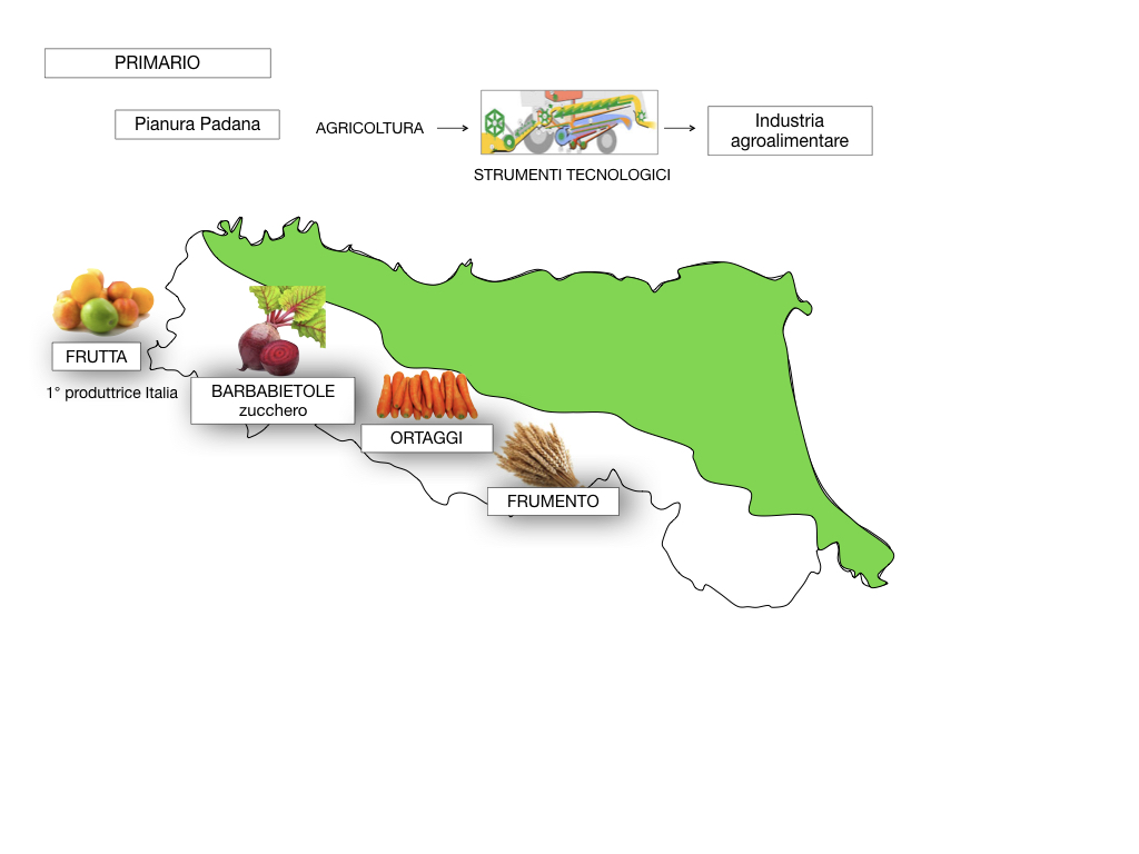 EMILIA ROMAGNA_SIMULAZIONE.062