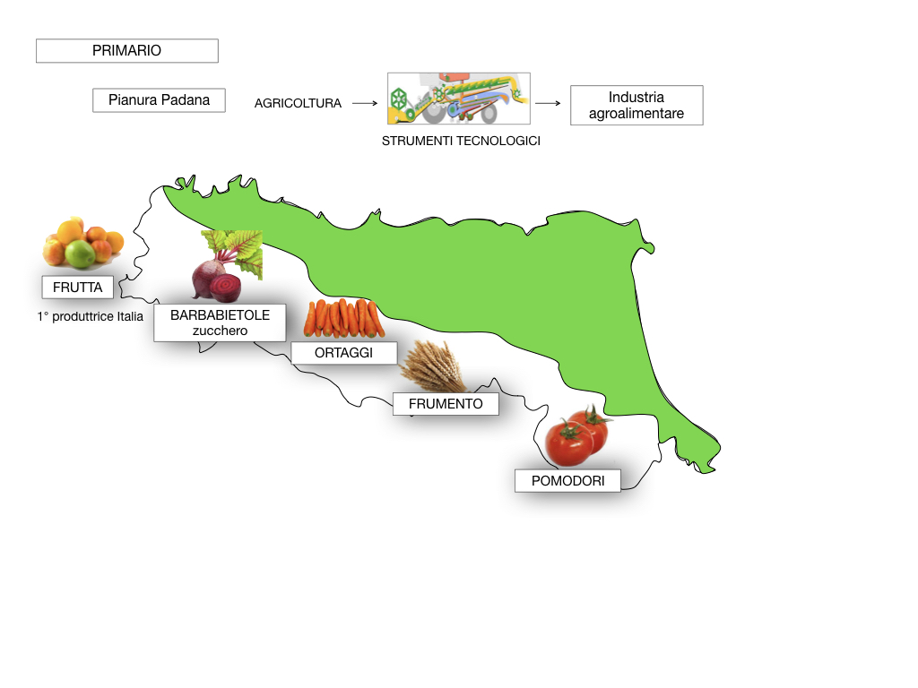 EMILIA ROMAGNA_SIMULAZIONE.063