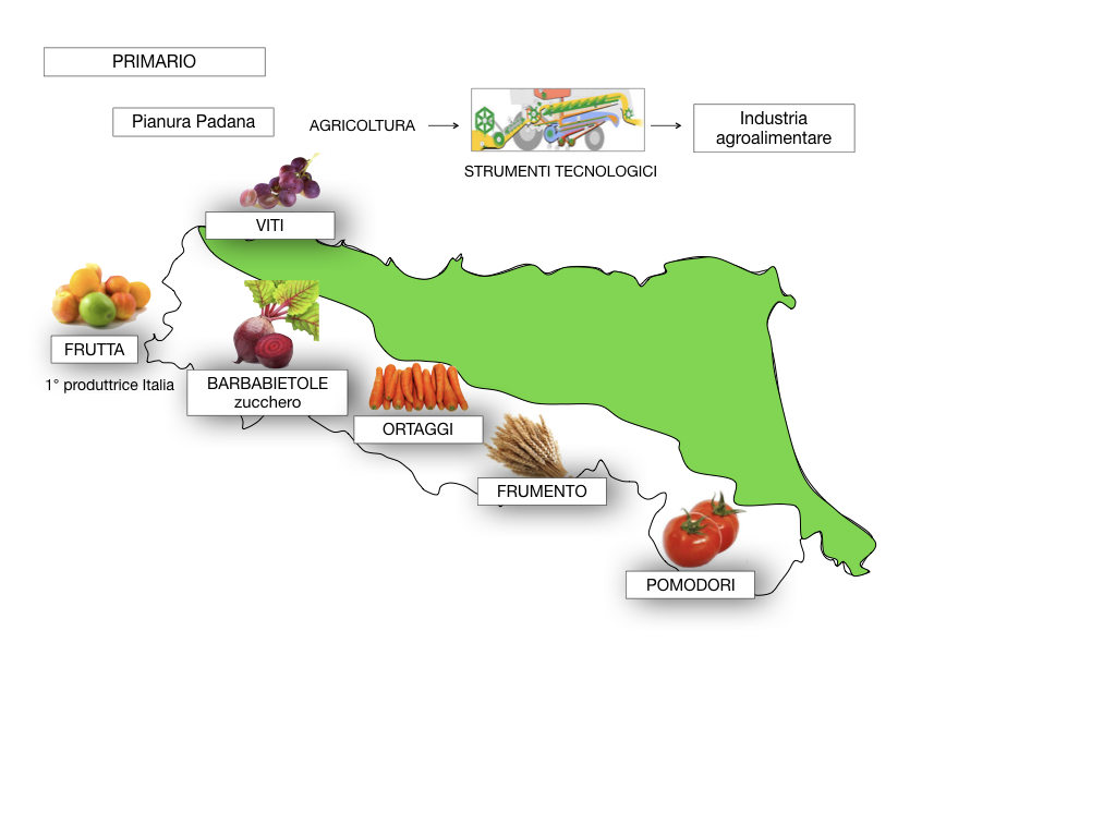 EMILIA ROMAGNA_SIMULAZIONE.064