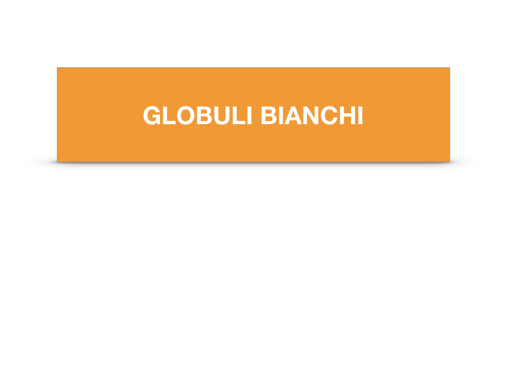 15. GLOBULI BIANCHI _SIMULAZIONE .002