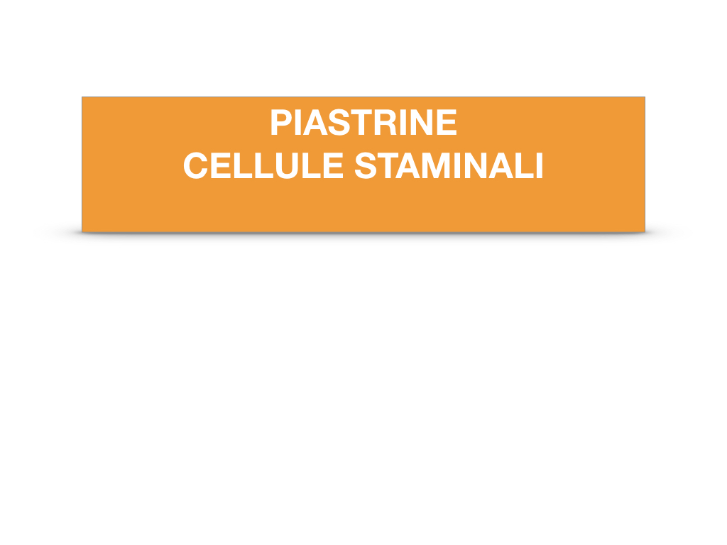16. PIASTRINE CELLULE STAMINALI_SIMULAZIONE.002