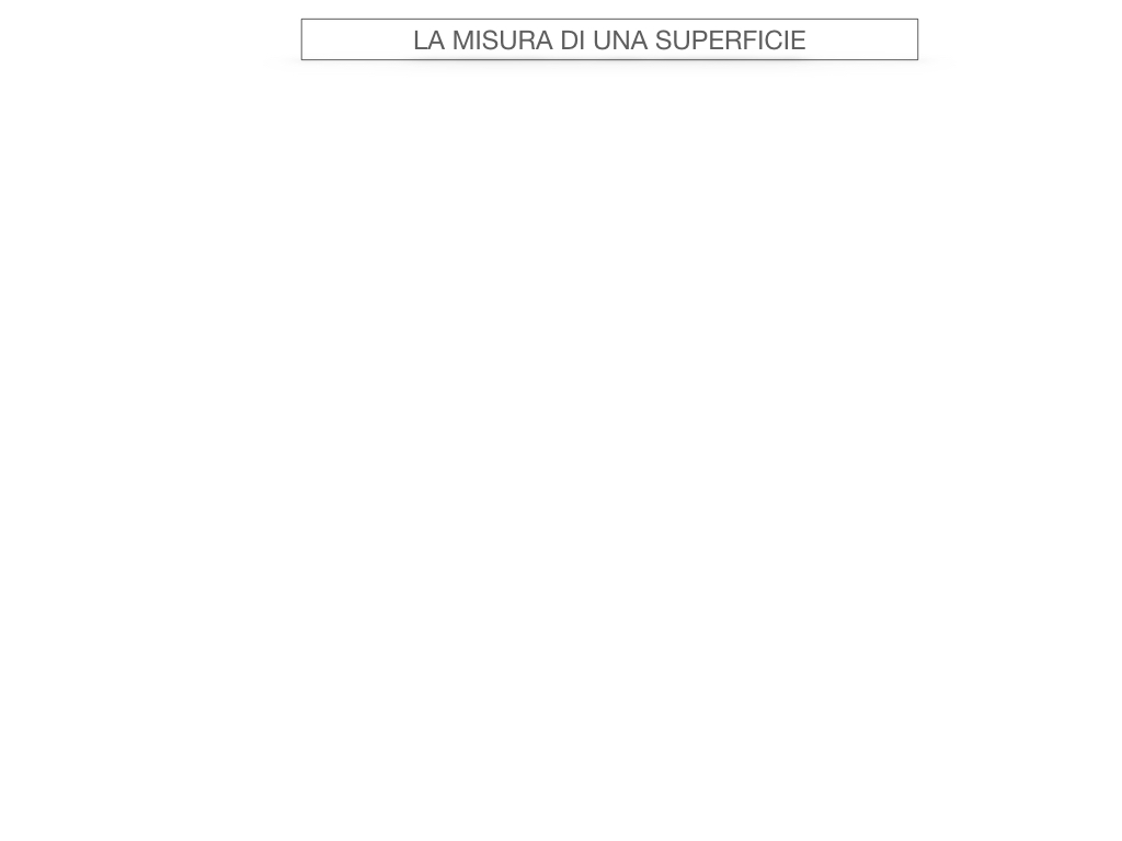 2. LA MISURA DI UNA SUPERFICIE_SIMULAZIONE.001