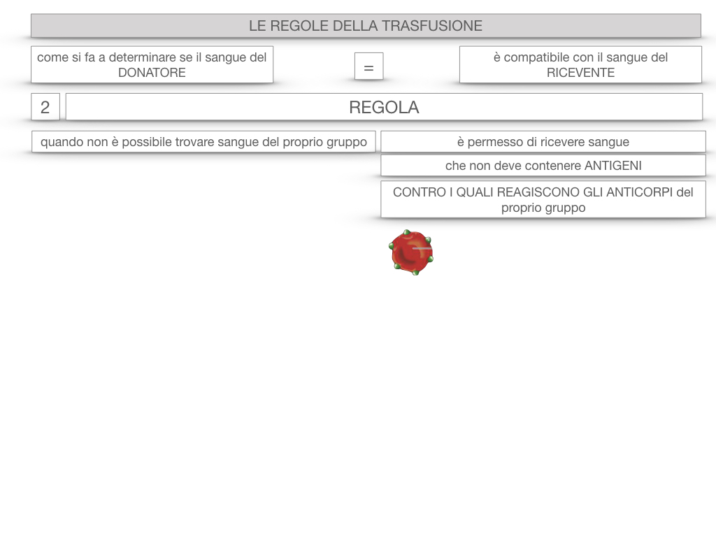 22. LE REGOLE DELLA TRASFUSIONE_SIMULAZIONE.055