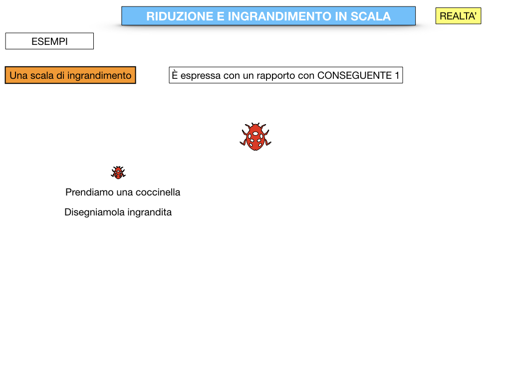 RIDUZIONE E INGRANDIMENTO IN SCALA_SIMULAZIONE.041