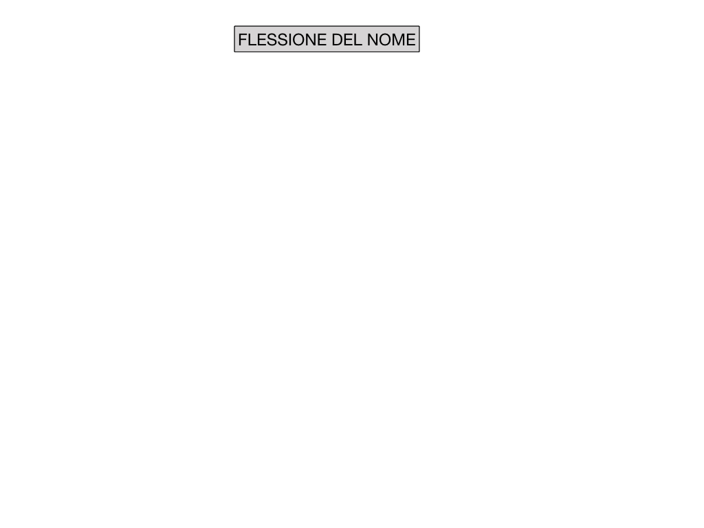 2. FLESSIONE DEL NOME_SOGGETTO E COMPLEMENTO OGGETTO_SIMULAZIONE.002