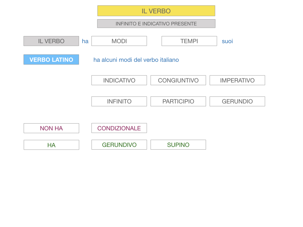7. VERBI PRIMA CONIUGAZIONE_SIMULAZIONE.019