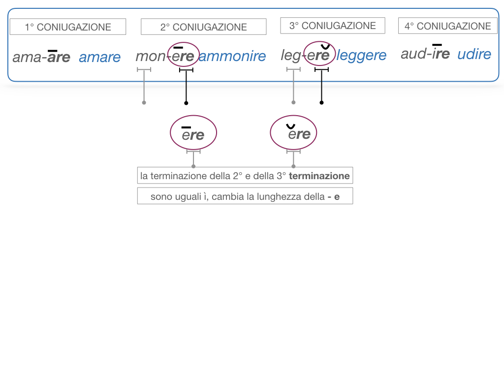 7. VERBI PRIMA CONIUGAZIONE_SIMULAZIONE.080