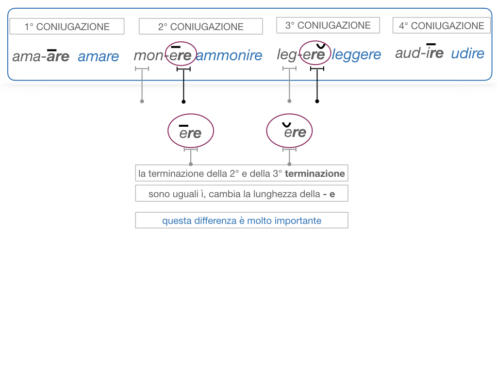 7. VERBI PRIMA CONIUGAZIONE_SIMULAZIONE.081