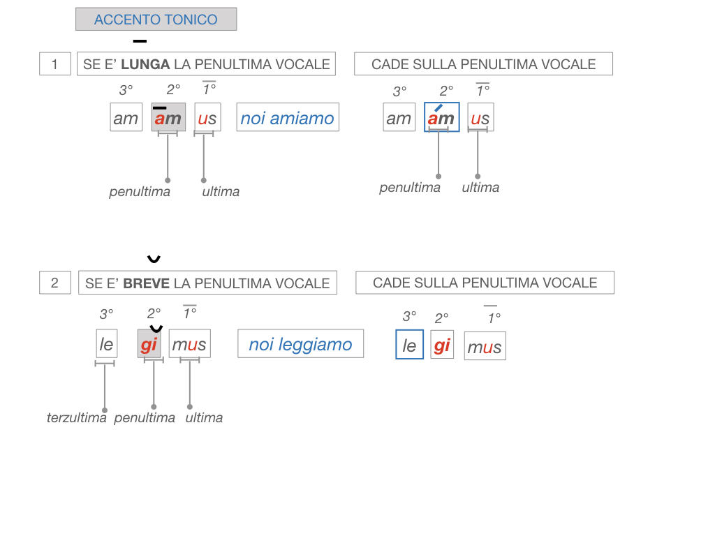 7. VERBI PRIMA CONIUGAZIONE_SIMULAZIONE.156